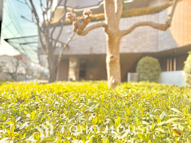 外観 ほんの少しのこだわり。ちょっとした色使いがその家がもつ雰囲気、趣（おもむき）を携え、暮らす家族や訪ねてくる友人・知人に新鮮な香りを運んできます。