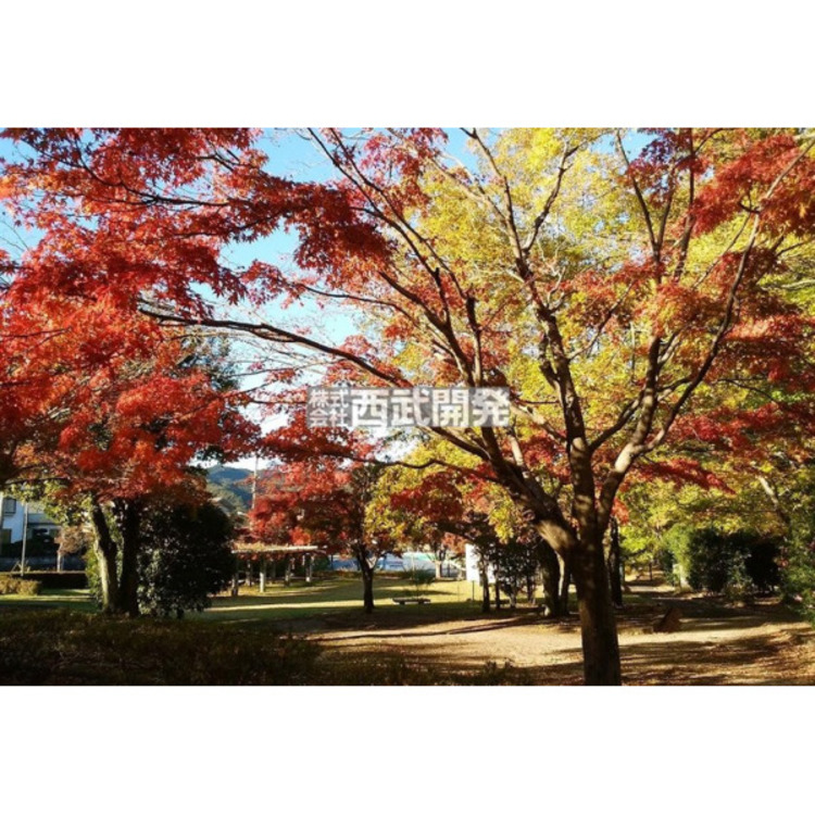 周辺 中の田公園(約300m)