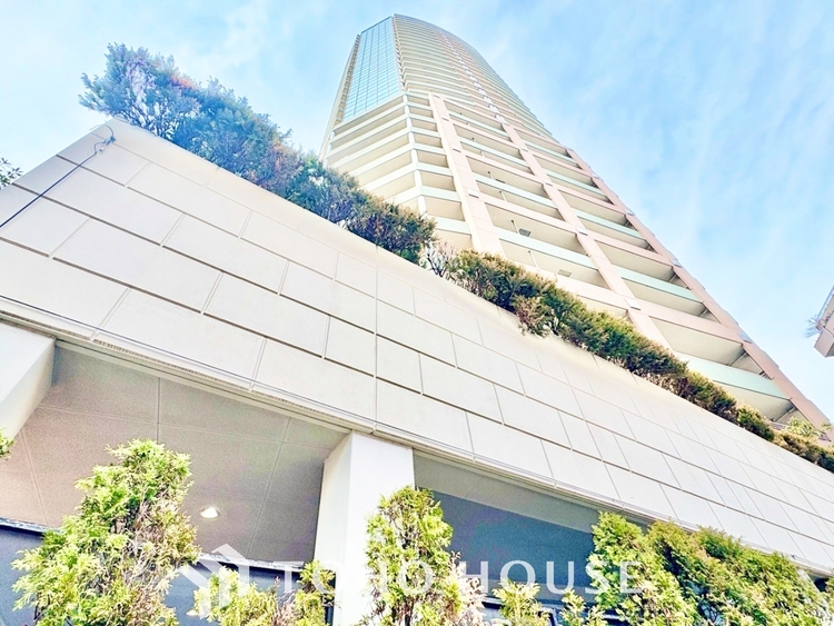 キッチン ◆夏の海の空◆あの頃の夏空のブルースカイ。太陽と潮のかおりが僕の鼻をかすめのんびりとしたリゾート地の情景が思い浮かぶ。心地よい夏の思い出のかおりを。