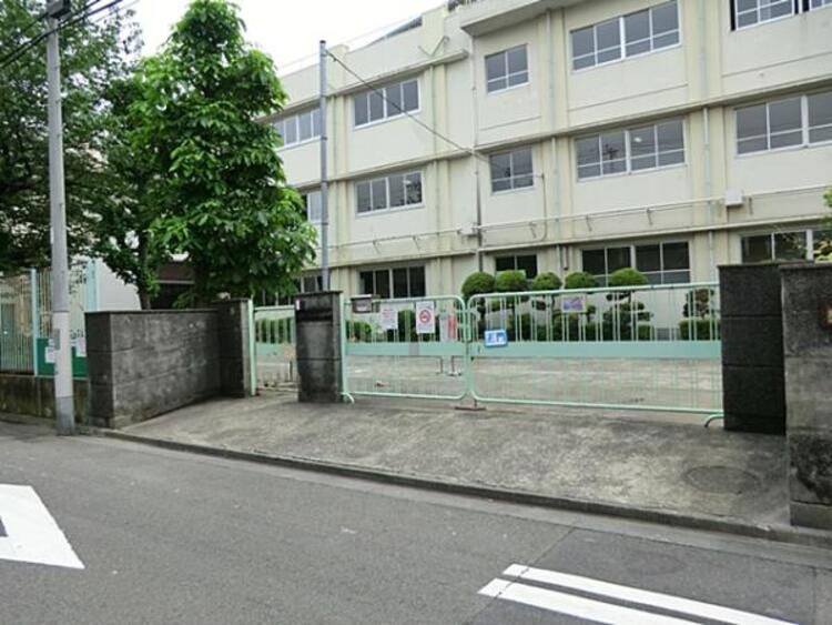 周辺 川崎市立向小学校	240m