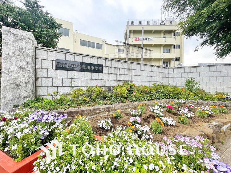 周辺 調布市立多摩川小学校　距離500ｍ