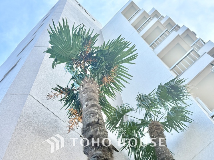 外観 【改装中】デザイン性あふれるキッチンは、大変人気があり重宝します。