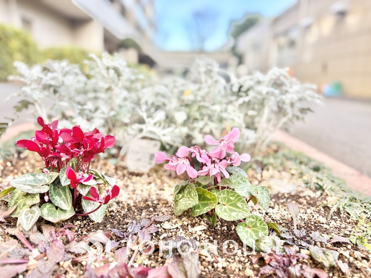 外観 堂々とした広さを誇るリビングは、優雅な開放感と安心感を兼ね備えた上質な空間。ご家族の時間を一層贅沢に演出します。