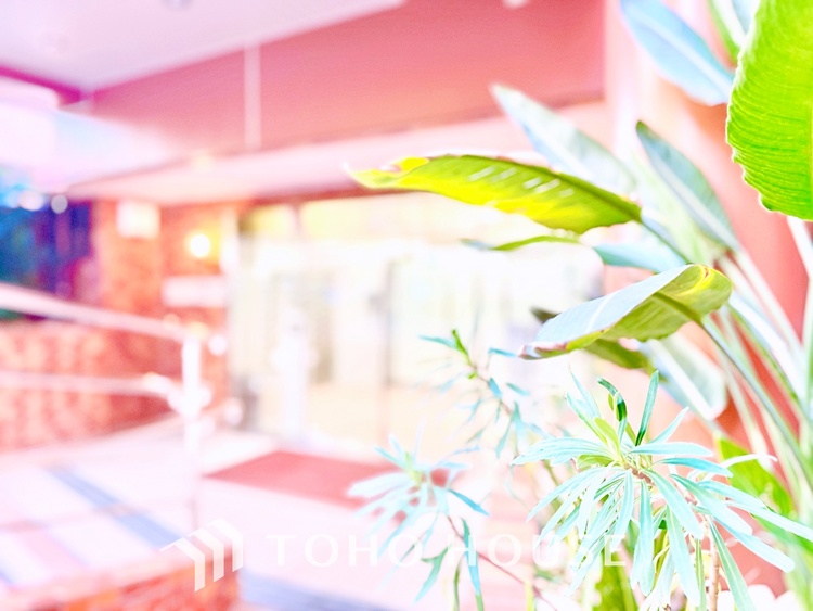 キッチン 食器収納も充実した、片付けやすいキッチン。毎日の家事が快適に進みます。