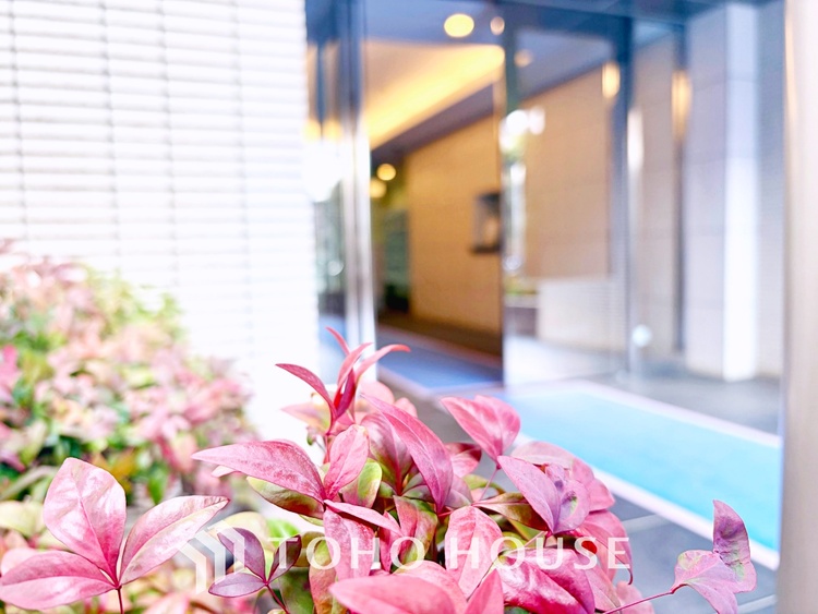 キッチン 家事動線に配慮した、効率的なキッチンレイアウト。調理も片付けもスムーズに行えます。