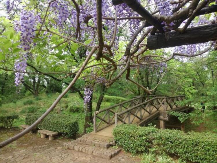 周辺 片倉城跡公園迄930ｍ