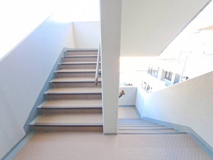 その他 共用部の階段です。明るく清潔に管理されています。