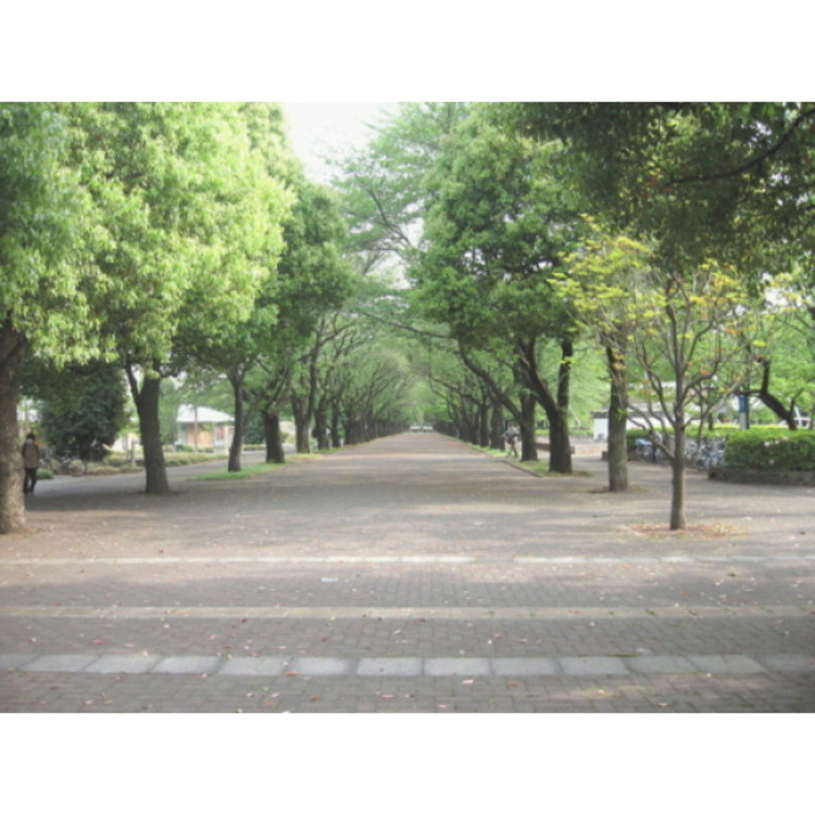 周辺 府中の森公園(約840m)