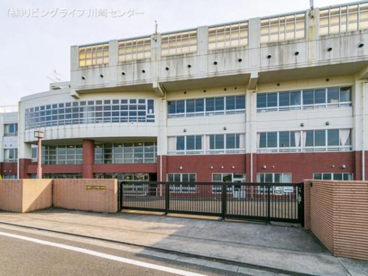 周辺 川崎市立古市場小学校　580ｍ