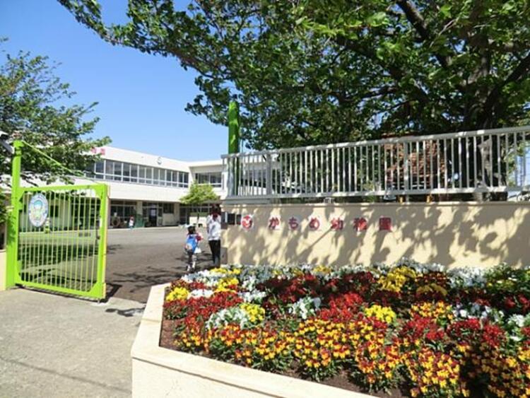 周辺 かもめ幼稚園まで約500ｍ