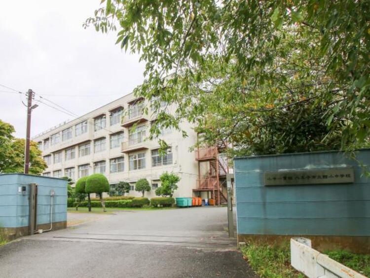 周辺 八王子市立館小学校迄810ｍ