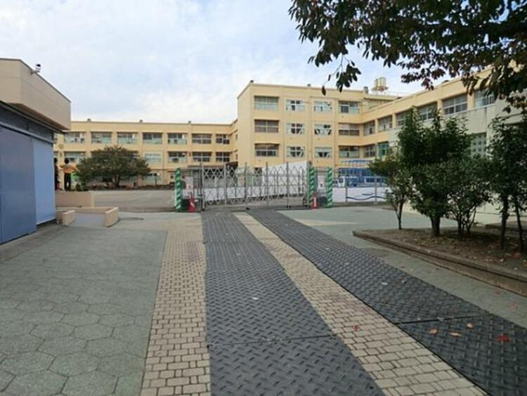 周辺 矢向小学校	895m	