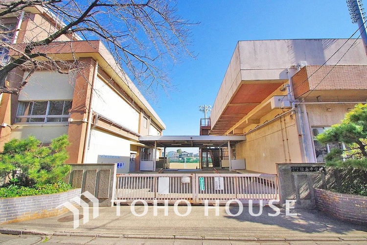 周辺 世田谷区立弦巻中学校　距離170m