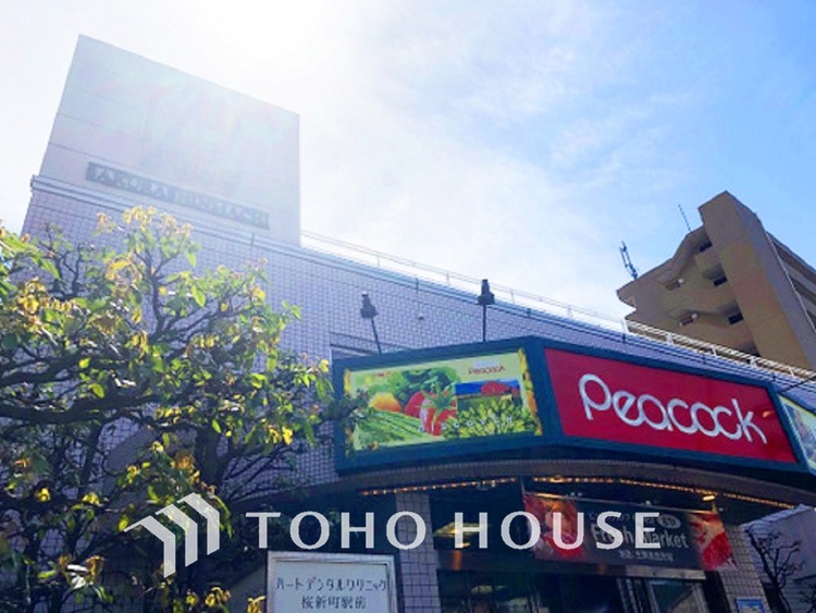 周辺 ピーコックストア 桜新町店　距離800m