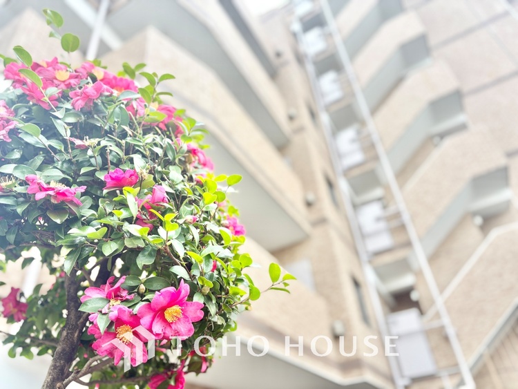 外観 快適に新生活をお送り頂けます。