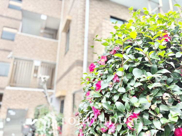 外観 ほんの少しのこだわり。ちょっとした色使いがその家がもつ雰囲気を醸し出します