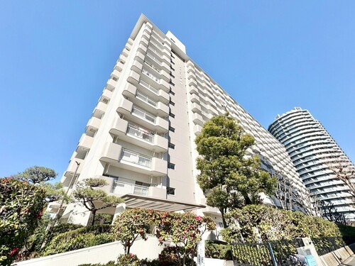 シティコープ豊洲の物件画像