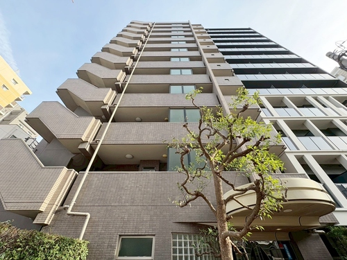 ヴィルヌーブ入谷の画像