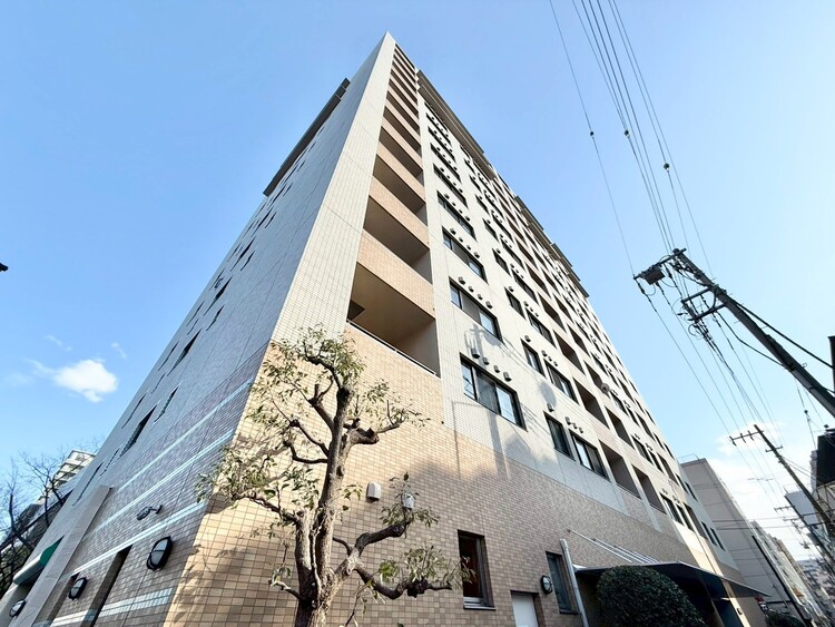 その他 忙しく過ぎゆく日常を置き去るほど、ゆったりした時間が流れる住環境。