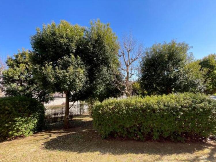 その他 四季の風情を感じられる眺望。緑によって外からの視線が 気になりづらいのも、嬉しいポイントです。