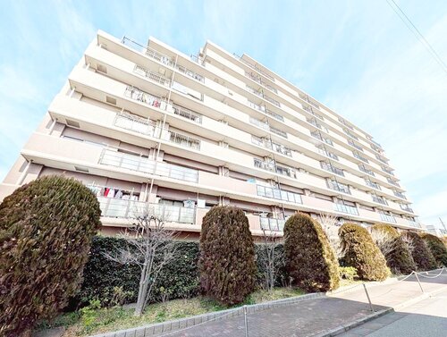 メイツ立石サウスコートの物件画像