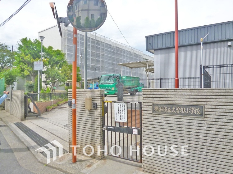 周辺 横浜市立大曽根小学校　距離240m