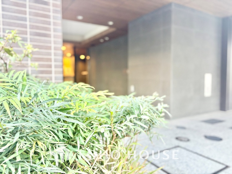 外観 文京区小石川の築浅「ブランズ」6階 。春日・後楽園駅徒歩7分で4路線利用可 。希少な70?超の3LDKは収納豊富で設備も充実 。利便性と静穏を兼ね備えた、子育て世帯に最適な住まいです。