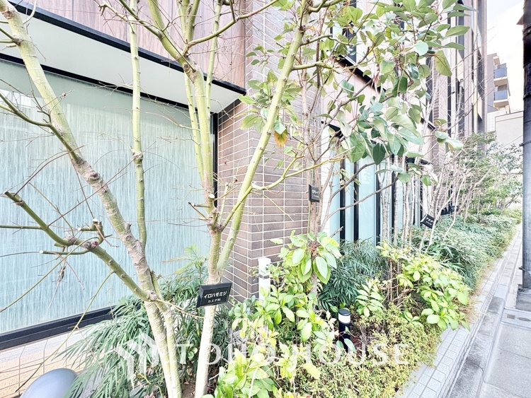 外観 文京区小石川の築浅「ブランズ」6階 。春日・後楽園駅徒歩7分で4路線利用可 。希少な70?超の3LDKは収納豊富で設備も充実 。利便性と静穏を兼ね備えた、子育て世帯に最適な住まいです。