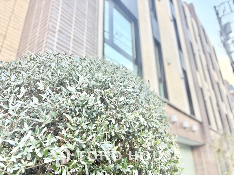 外観 文京区小石川の築浅「ブランズ」6階 。春日・後楽園駅徒歩7分で4路線利用可 。希少な70?超の3LDKは収納豊富で設備も充実 。利便性と静穏を兼ね備えた、子育て世帯に最適な住まいです。