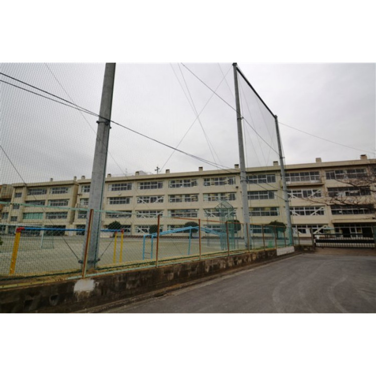 周辺 寺尾小学校(約800m)