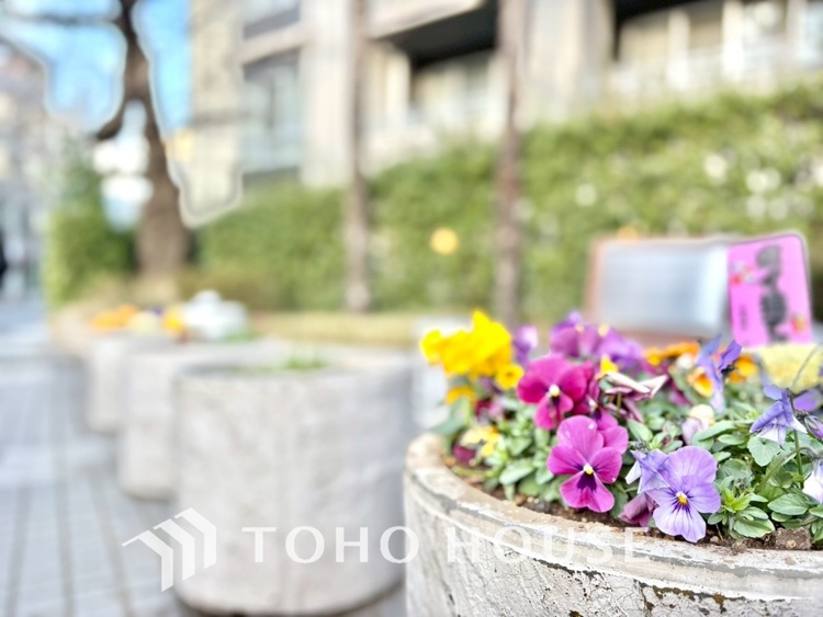 外観 【APPEARANCE】◆安らぎ◆整然と整備された街に風が吹き、木々が揺れる。絵にかいたような心安らぐ環境です。