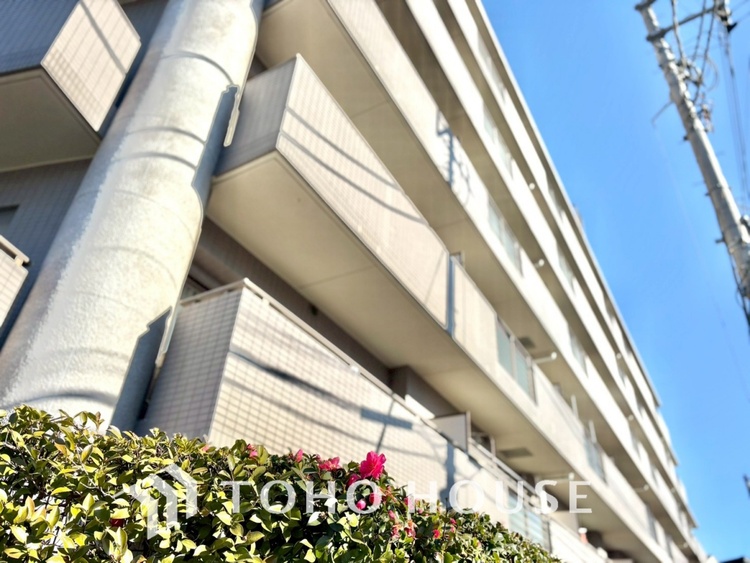 外観 【APPEARANCE】◆眩い◆光が燦々と入り、家族の笑顔を照らす。「いつまでも続いて」と願う夢のような毎日がここにある。