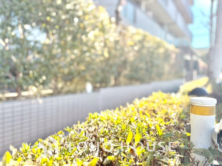 その他 【APPEARANCE】◆安らぎ◆整然と整備された街に風が吹き、木々が揺れる。絵にかいたような心安らぐ環境です。