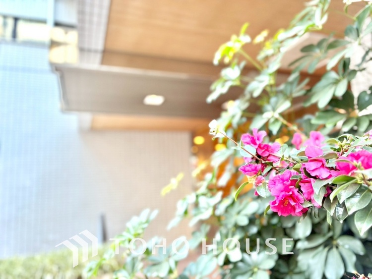 その他 【APPEARANCE】◆住む喜び、楽しさ、感動◆を君と共有したい。いつまでもずっと家族を見渡せるこの広い空間で。