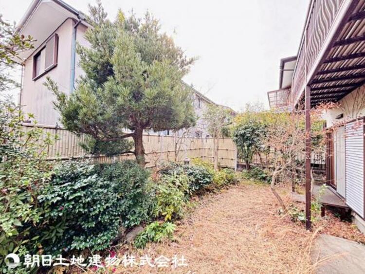 その他 【2026年02月撮影】