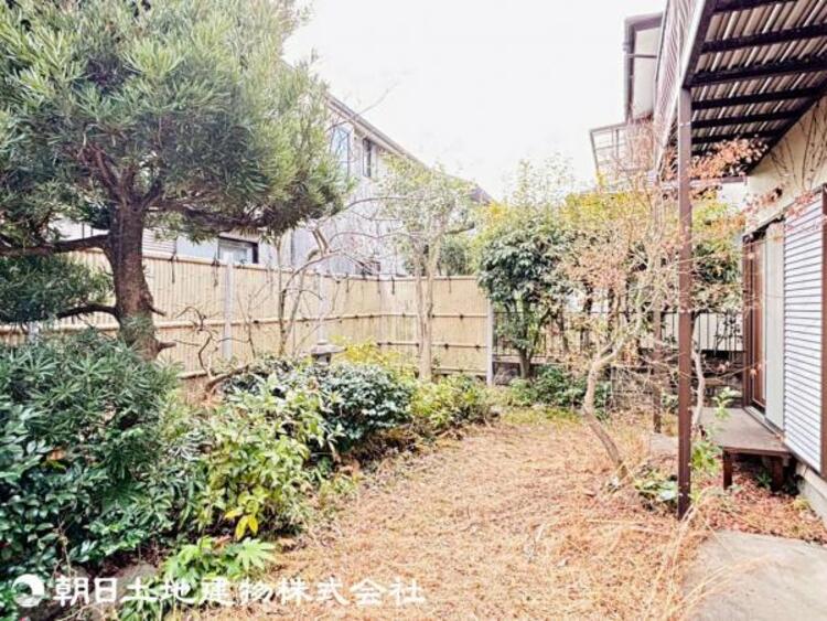 その他 【2026年02月撮影】