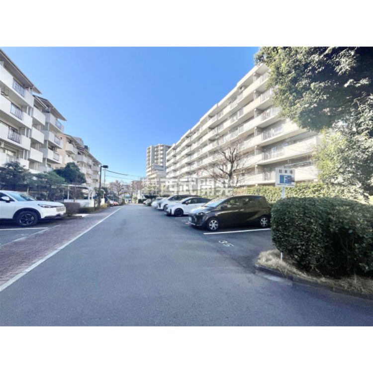 駐車場 1月9日 撮影