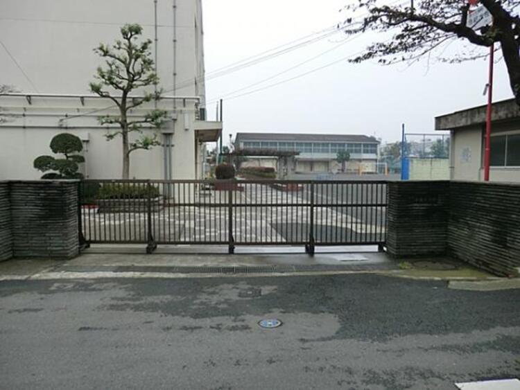 周辺 横浜市立中丸小学校  190m