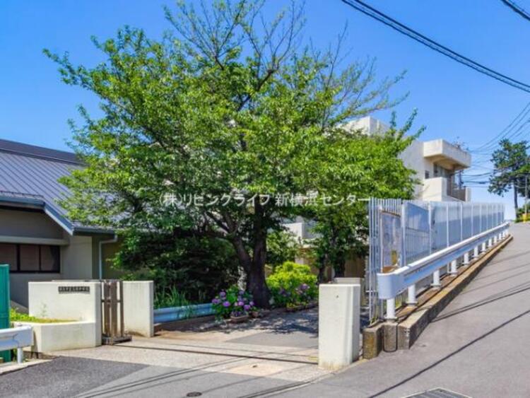 周辺 横浜市立篠原中学校　780m