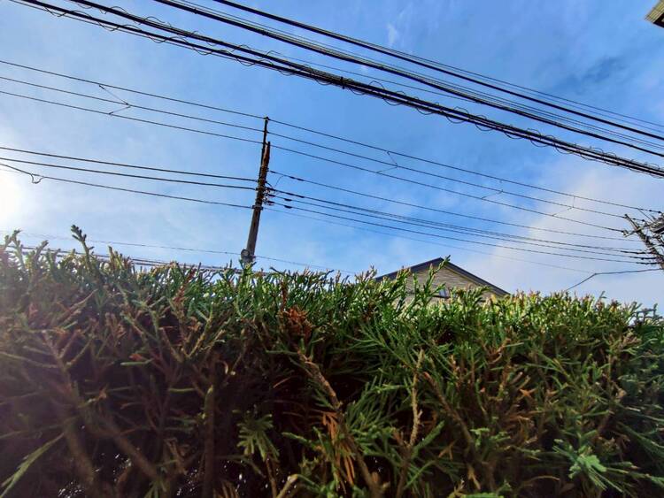 バルコニー 陽当たり・通風・開放感に恵まれた環境です。