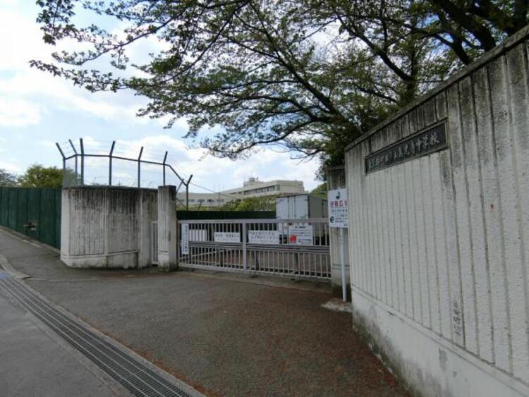 周辺 真光寺中学校まで約481ｍ