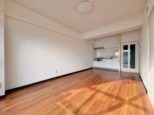 アイビハイツ柴又の物件画像