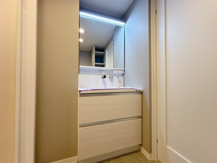 洗面 何かと物が増える場所だからこそ、スッキリと見映えの良い空間に。