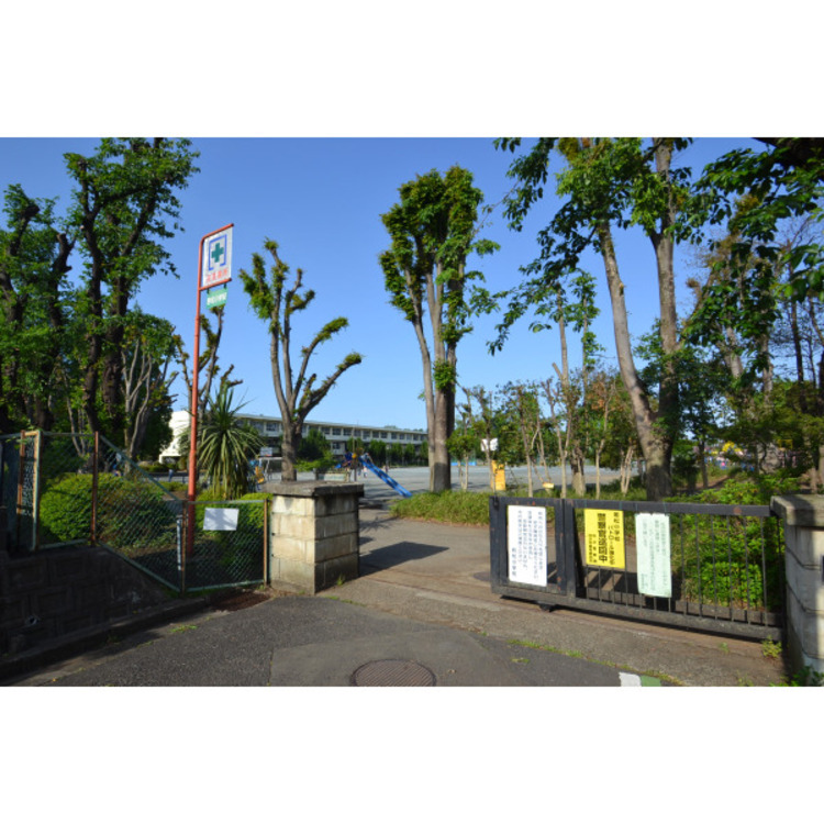 周辺 若松小学校(約1160m)