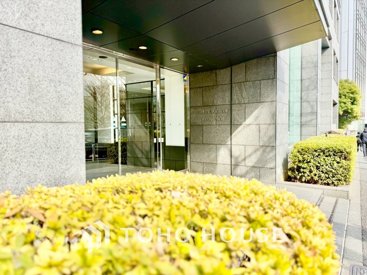 キッチン ◆木漏れ日◆の様な採光が優しく足元を照らし、心地いい暮らしの道しるべを写し出す。この空間で過ごす家族との語らいの時間がとても素敵で幸せを感じるかもしれない。