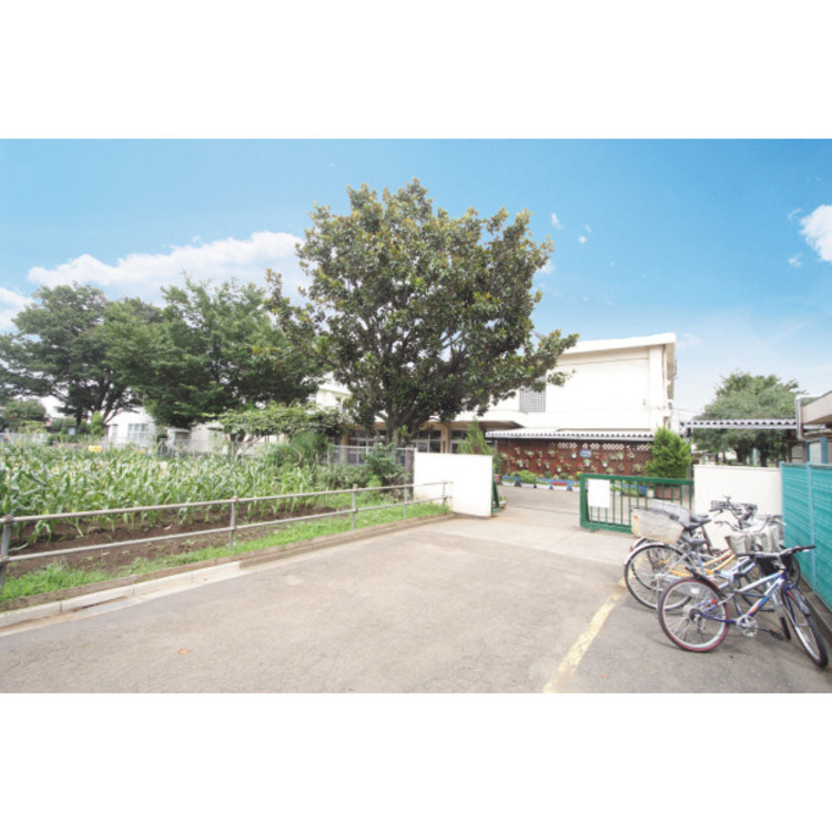 周辺 第十三小学校(約1000m)