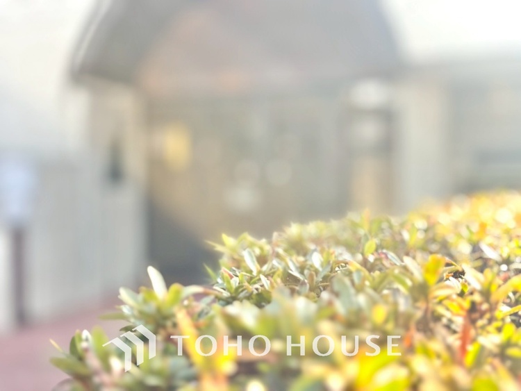 外観 風の通り道。舞い込んでくる風が優しく躍り、室内に爽やかな空気を運んでくる。