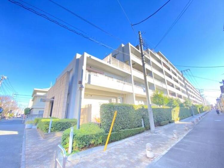 外観 天気の良い空、緑と好相性。そのスマートな佇まいについ足を止めてしまいそうになります。