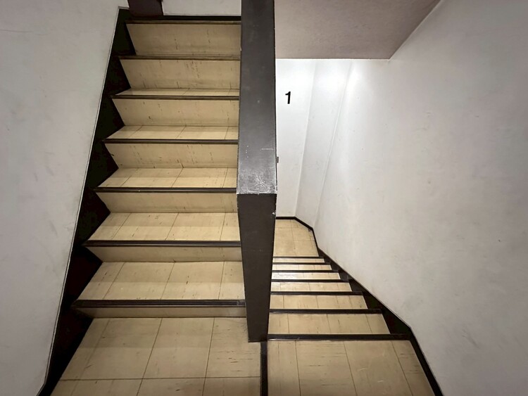 その他 共用部の階段です。明るく清潔に管理されています。