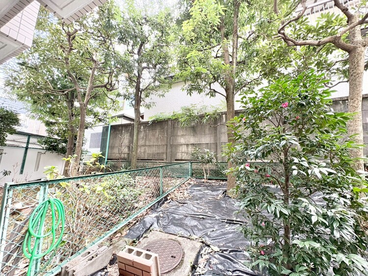 その他 陽当たり・通風・開放感に恵まれた環境です。